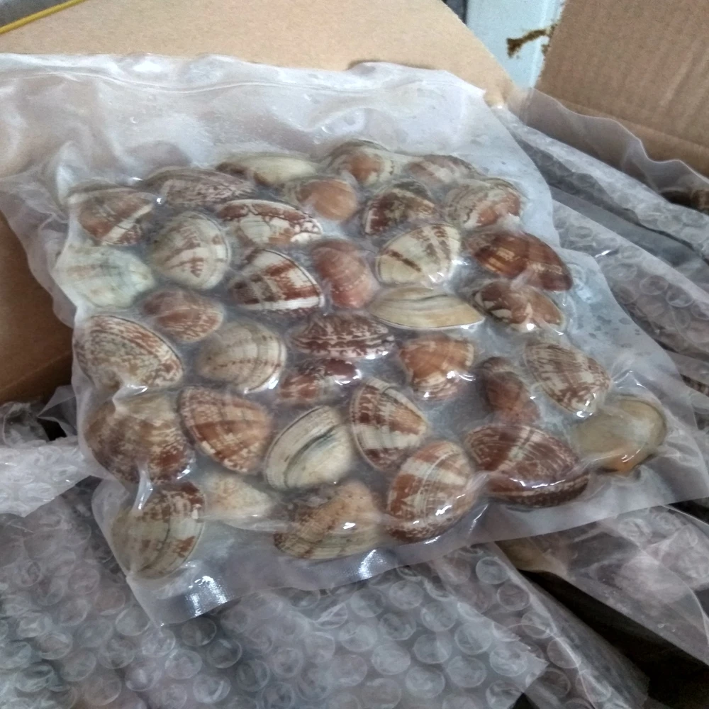 Замороженные детские моллюски в скорлупе