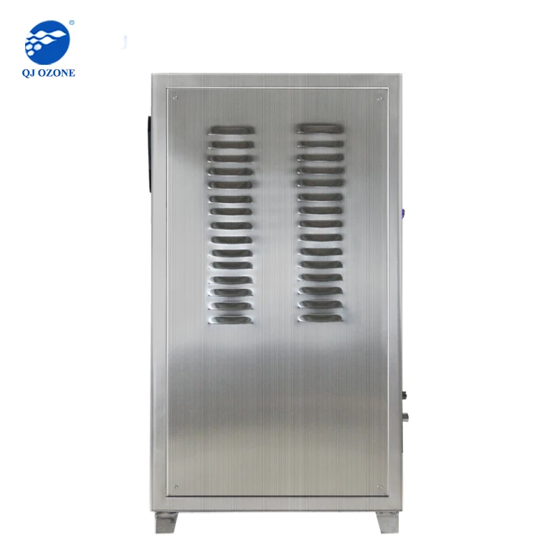 Professional Ozone Machine 60g For Odor Remove Water Purification