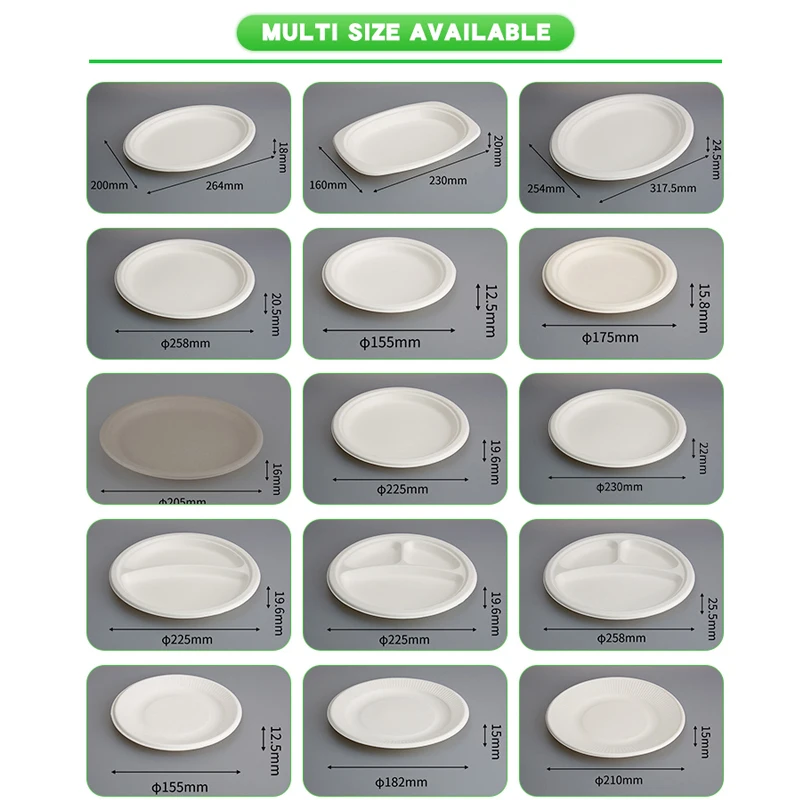 OEM Service Eco-Friendly 4 Compartment Compostable White Disposable Bagasse Tableware Plates Sugarcane Tray