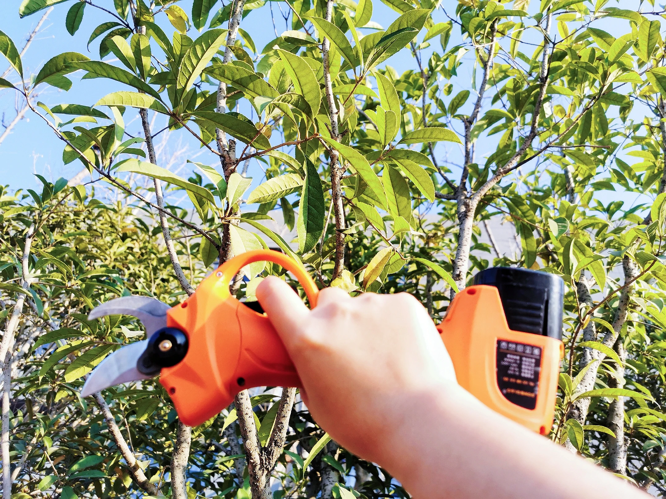 Electric Pruning Shears Garden Tools Scissors 32mm Max Black Red Metal Anti Battery Time Anvil