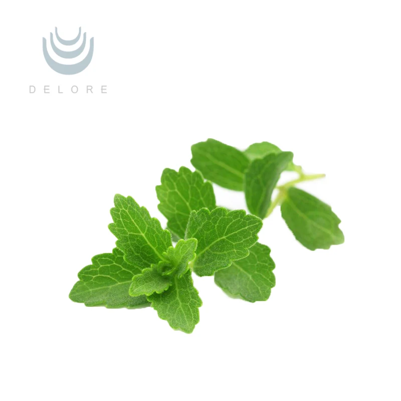 rebaudiana stevia and plant stevia leaf extract natural sweetener food additive stevia leaf