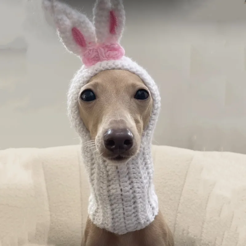 Pet cute halloween hat for dogs hat custom logo woven label handmade winter knitted beanie hat with ball bulldog pet dog pet dog