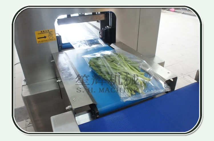 shenghui food machine.jpg