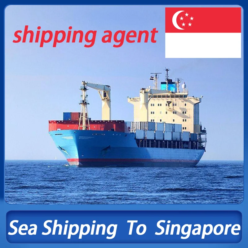 12years professional DDP door to door sea shipping agent from China to Thailand indonesia singapore malaysia Southeast Asia