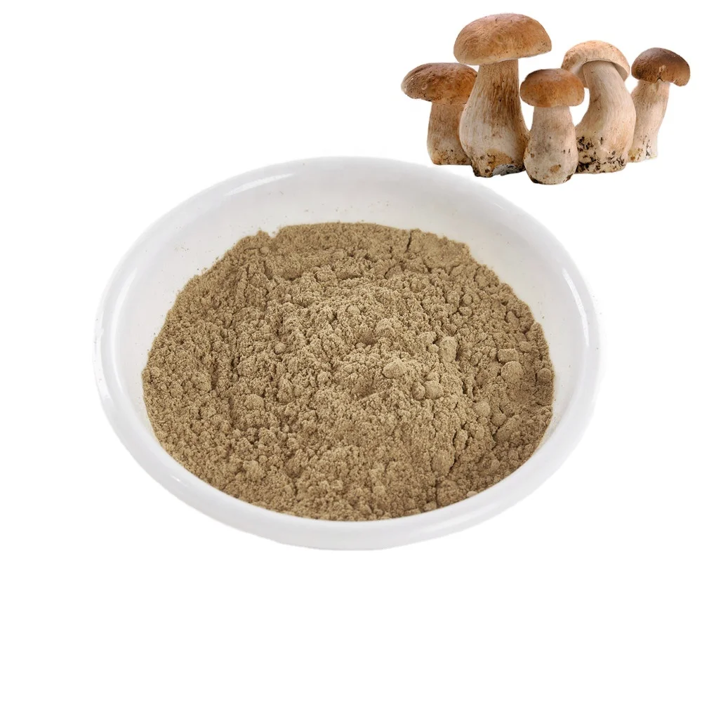 
Wholesale Pure Selenium Enriched Oyster Mushroom Powder Mushroom Extract Powder Oyster Mushroom Powder 
