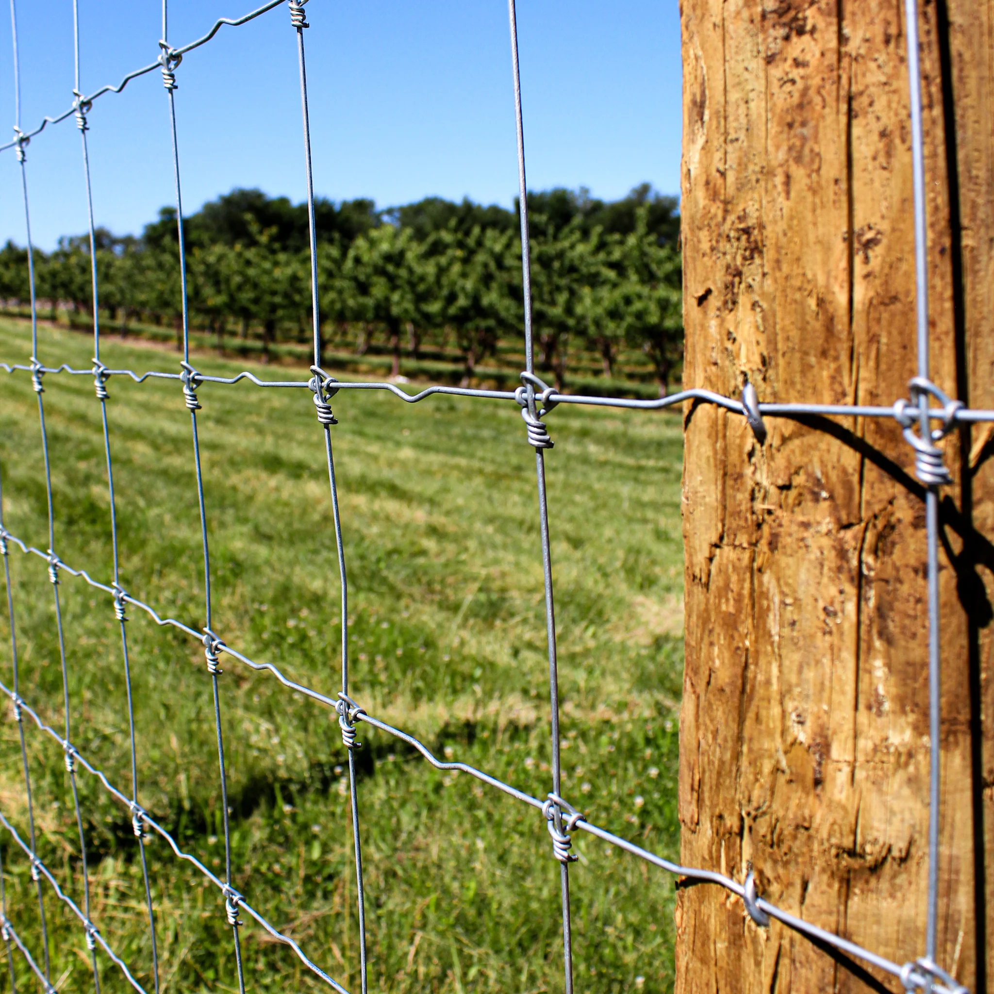 Cheap price hot dipped galvanised deer farm fence metal farm fence
