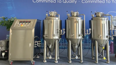 home micro brewery equipment 100L beer system