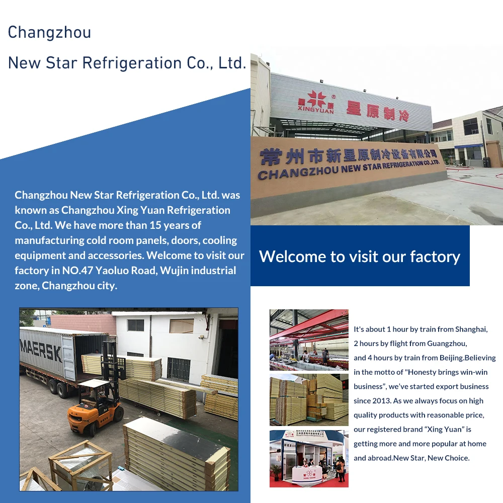Walk in Cold Room Freezer Chiller Room Cold Storage Warehouse for Logistics