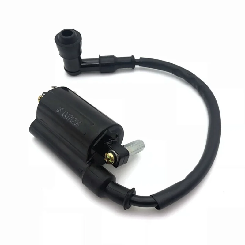 Мотоцикл зажигания запчасти CD70 катушки зажигания для пакистанского рынка