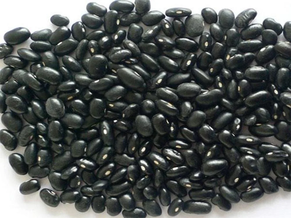 Black beans 15.jpg