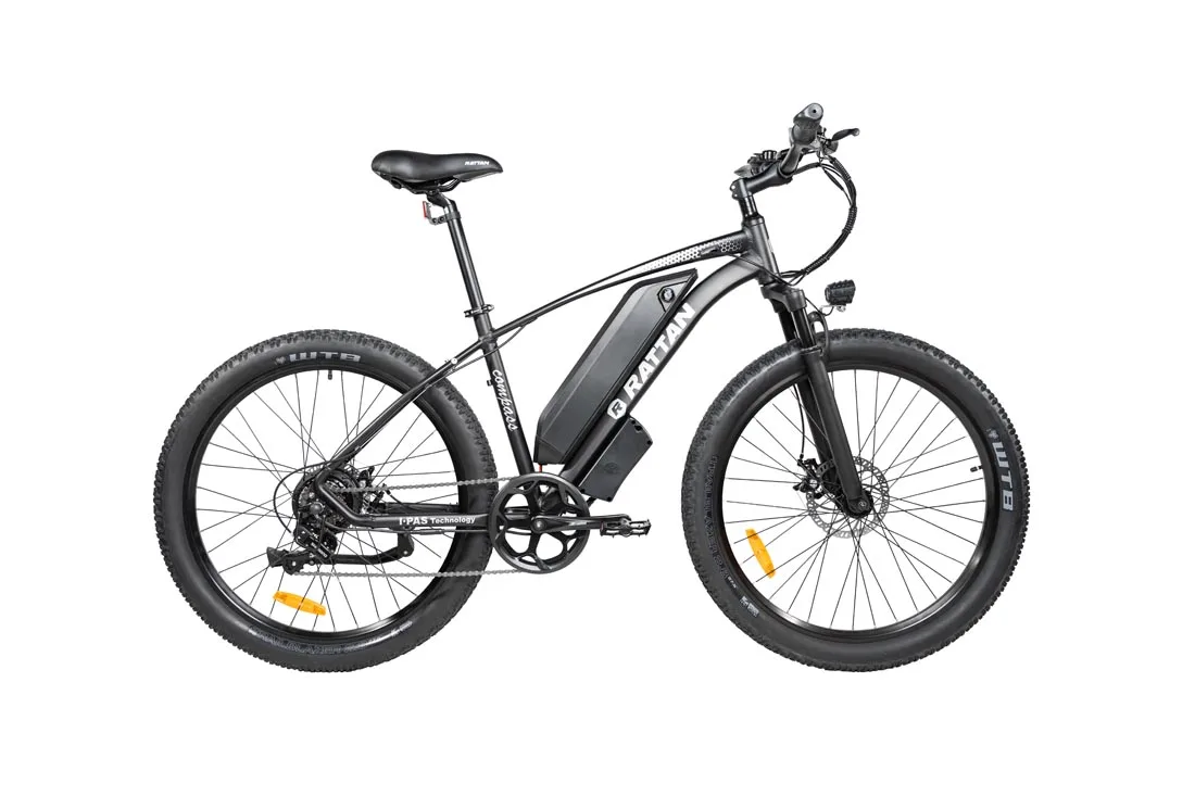 48v750w electric fat bike electric 24v mtb fat bicycle electric down hill mountain bike