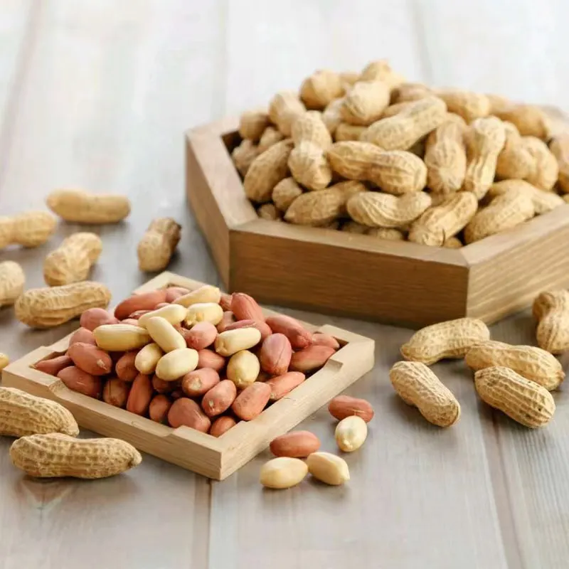 Прямо с фабрики оптовая продажа жареный арахис/арахис в скорлупе дешевая цена