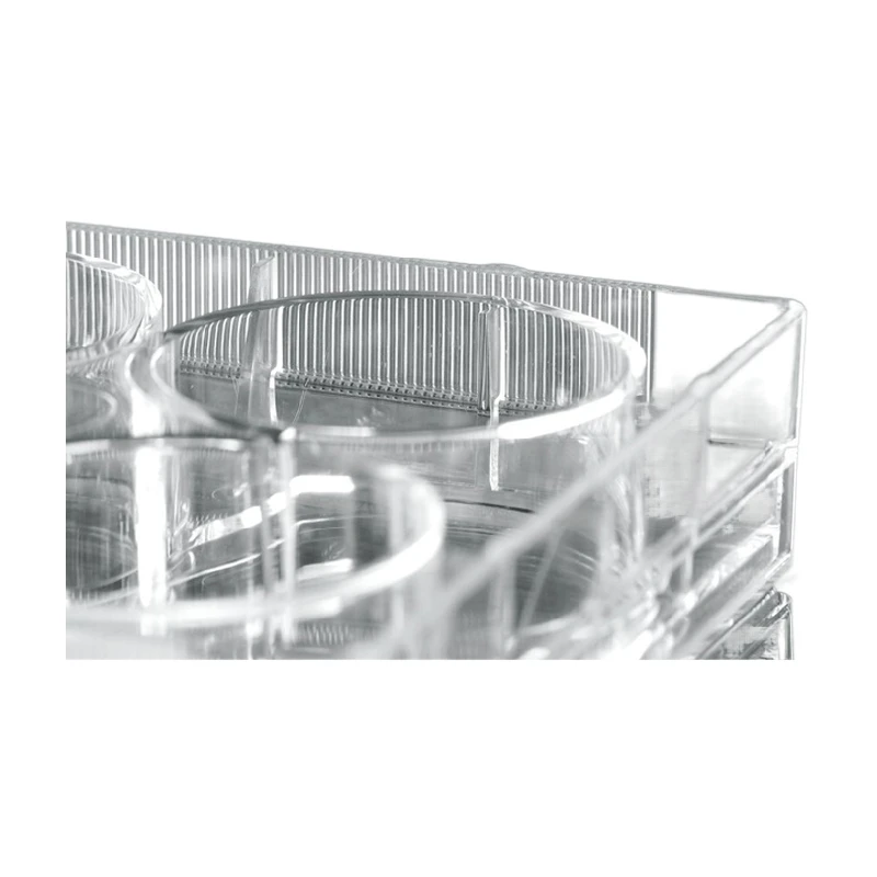 lab plastic containers 6 well V Bottom cell culture plate