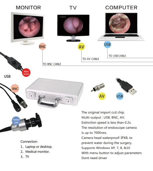 paste-pic-dp_uuid_32wuq