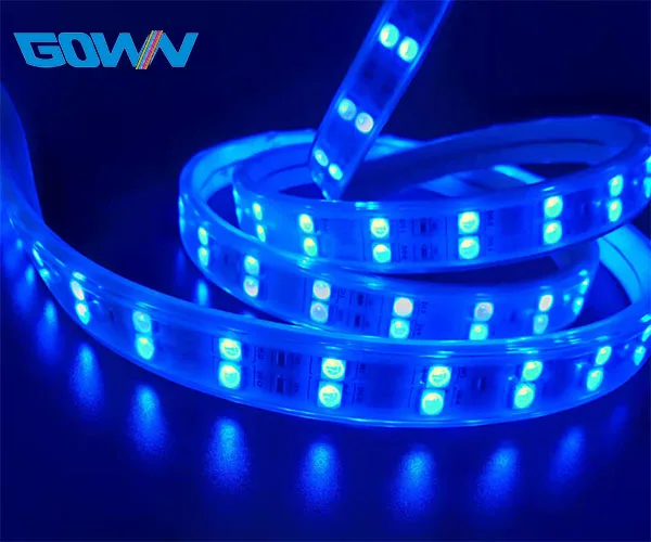 Factory price remote control color changedouble rows 110v 220v ac flexible led strip lights 5050 smd