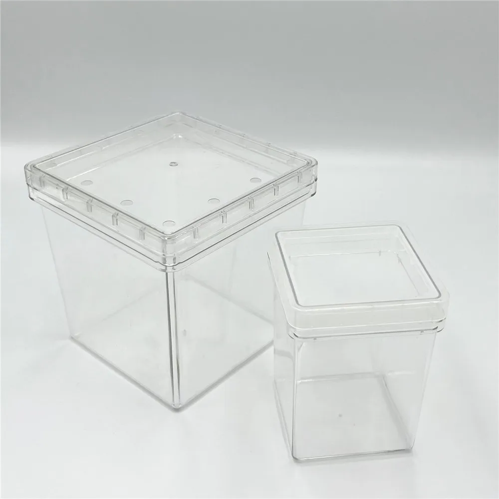 High Quality Lab 75x100mm 120x120mm PP Material   Tissue  culture box