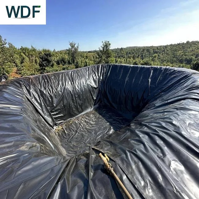 HDPE гидроизоляционный пластиковый геомембранный лист для аквакультуры Пруд Лайнер