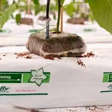 Farming plants agriculture growing greenhouse with soilless cultivation equipment For Tomatoes/Peppers/strawberry