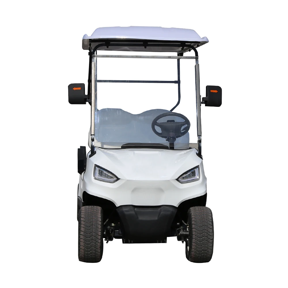 road 48V 72V Lithium Battery Karts Car Buggy2 4 6 8 Small electric golf cart with roof