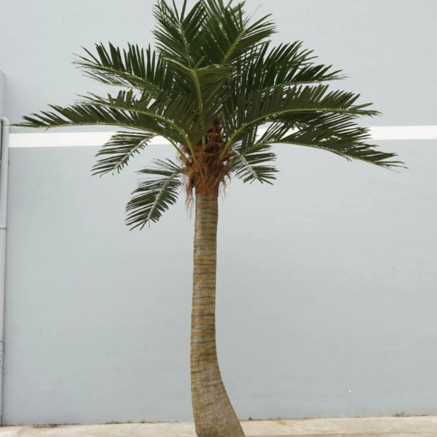 Green Outdoor Artificial Plants Faux Tree China Faux Artificial Palm Trees 3 Meters Artificial Coconut Palm Tree Large