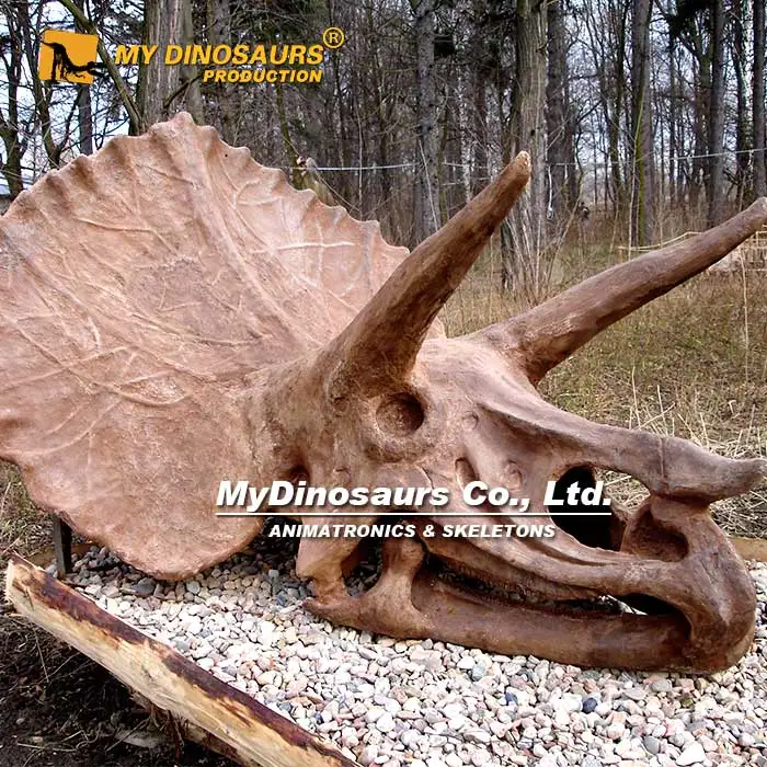Z My Dino DS-055 оптовая продажа реалистичные скелет динозавра Трицератопс