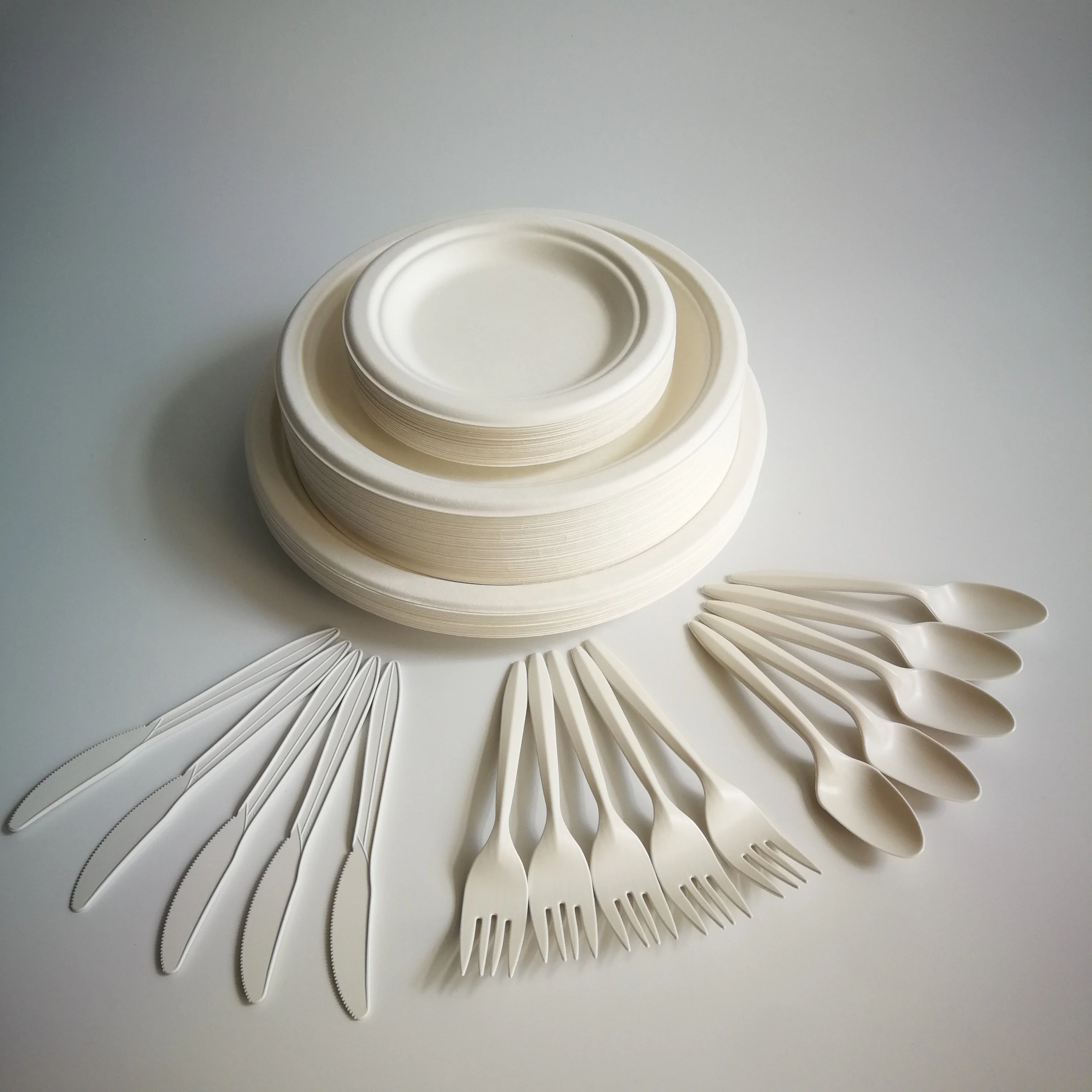 Reusable Sugar Cane 9 Inch Plate Disposable Plain Big Size Paper Plate Set Thick Biodegradable Plates Cups And Cutlery