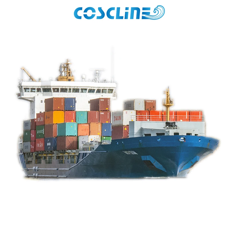 Coscline отправляет вашим клиентам прямые недоставленные посылки Дрон Amazon Fba Джидда