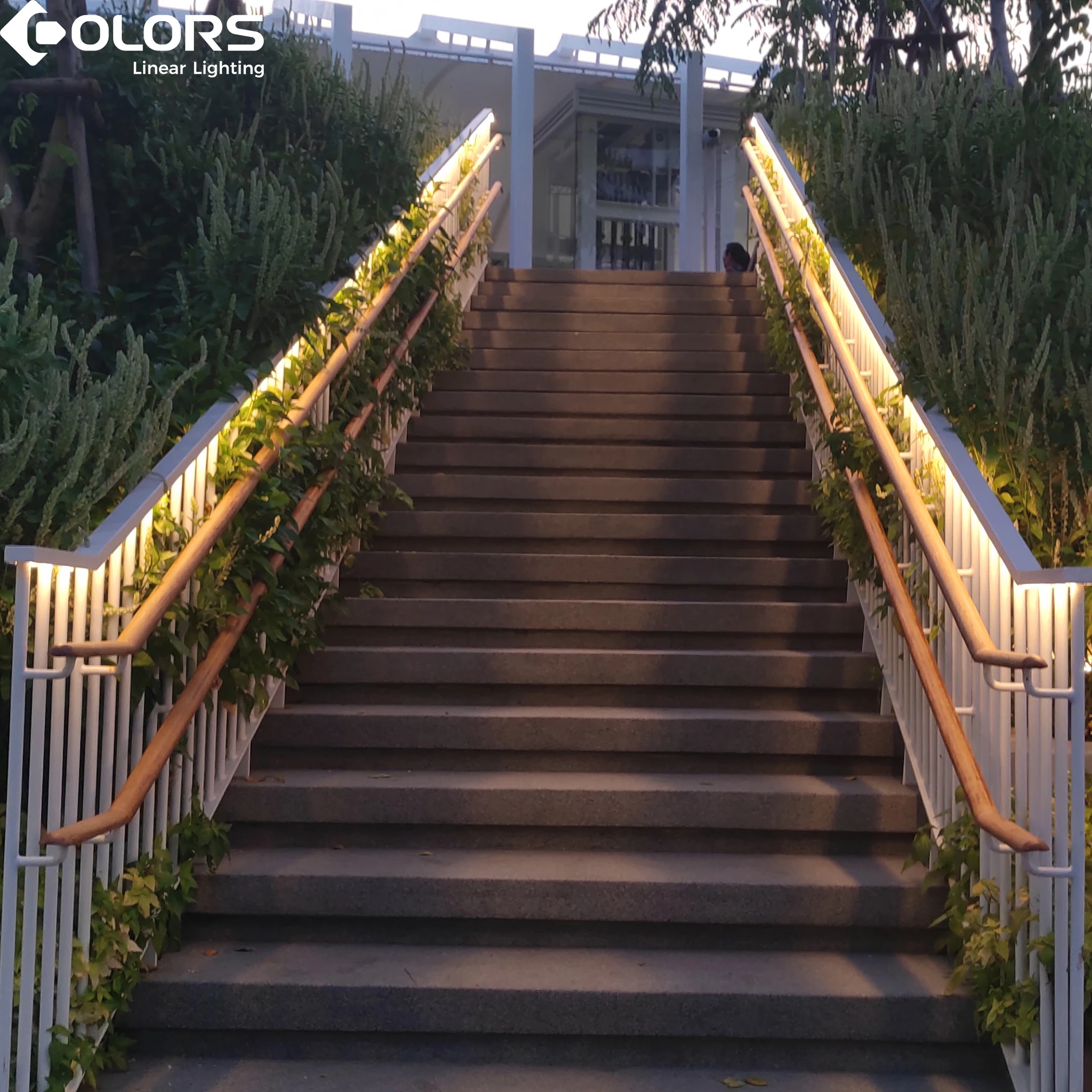 
COLORS 24V SPI DMX silicone neon light 48V neon light flex side bend CE ROHS CCT RGB dimming digital pixel neon strip light 