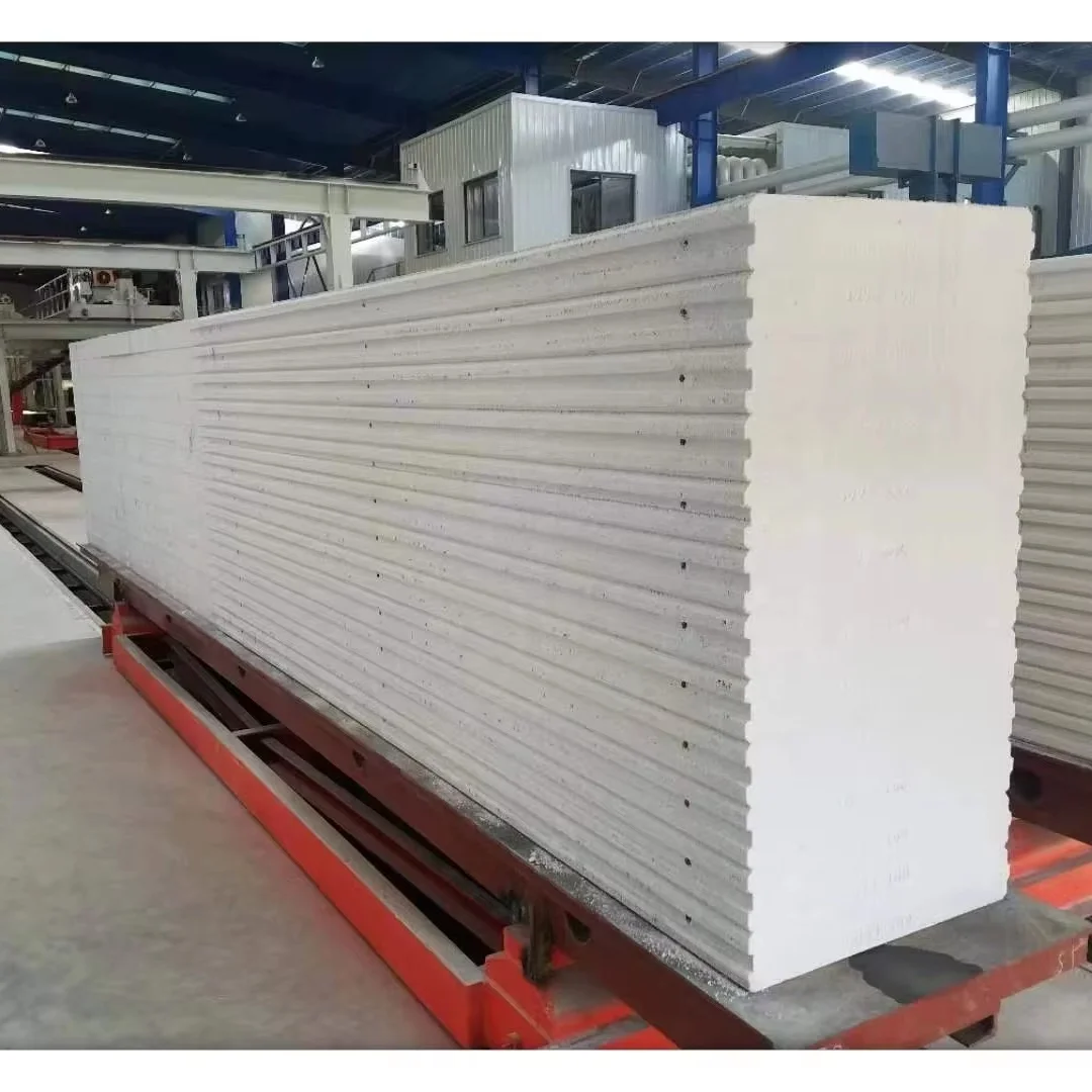 300m3per day AAC Brick Making Business Foam Concrete Light Weight Block Making Machine