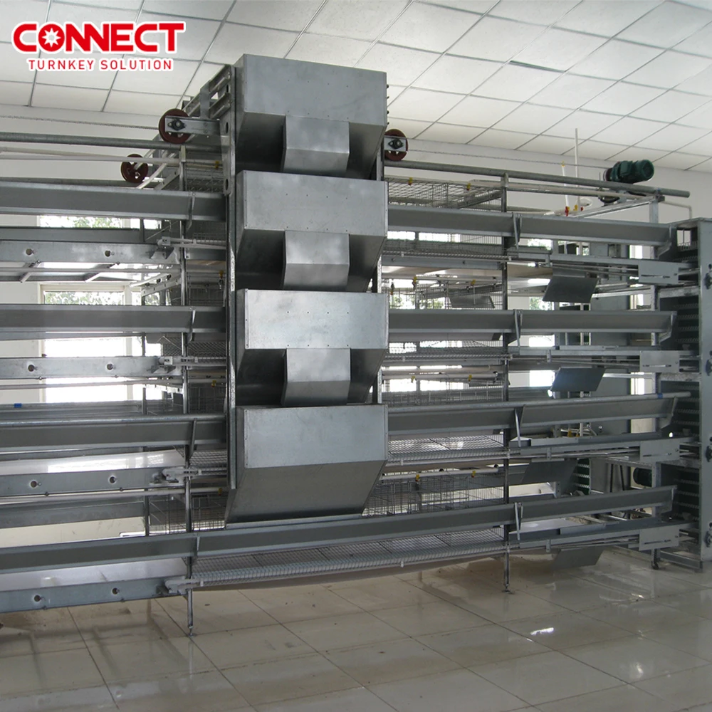 5000 Birds Capacity Poultry Automatic Feed Set Plant Farm Raising  Layer Egg Chicken Cage System