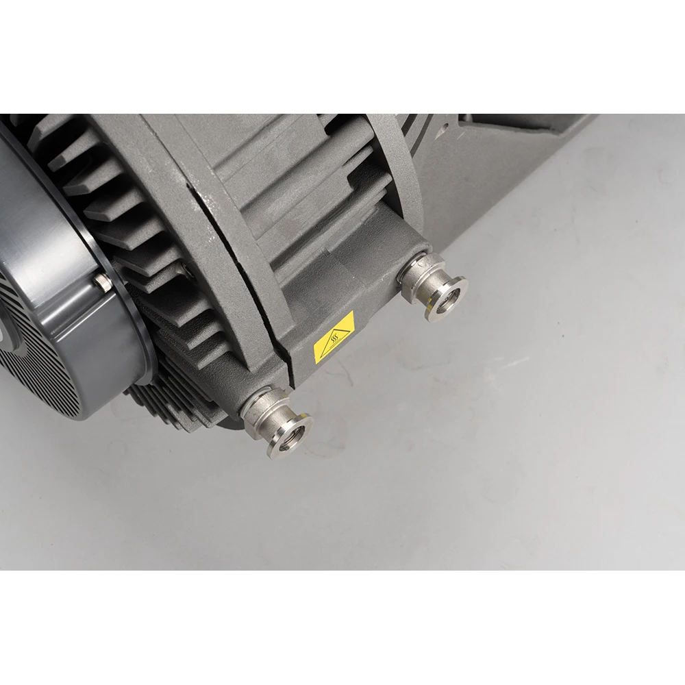 35.8cfm 0.01mbr GEOWELL GWSP1000 небольшой сухой вакуумный насос с более низким конечным давлением низкое энергопотребление низкий уровень шума