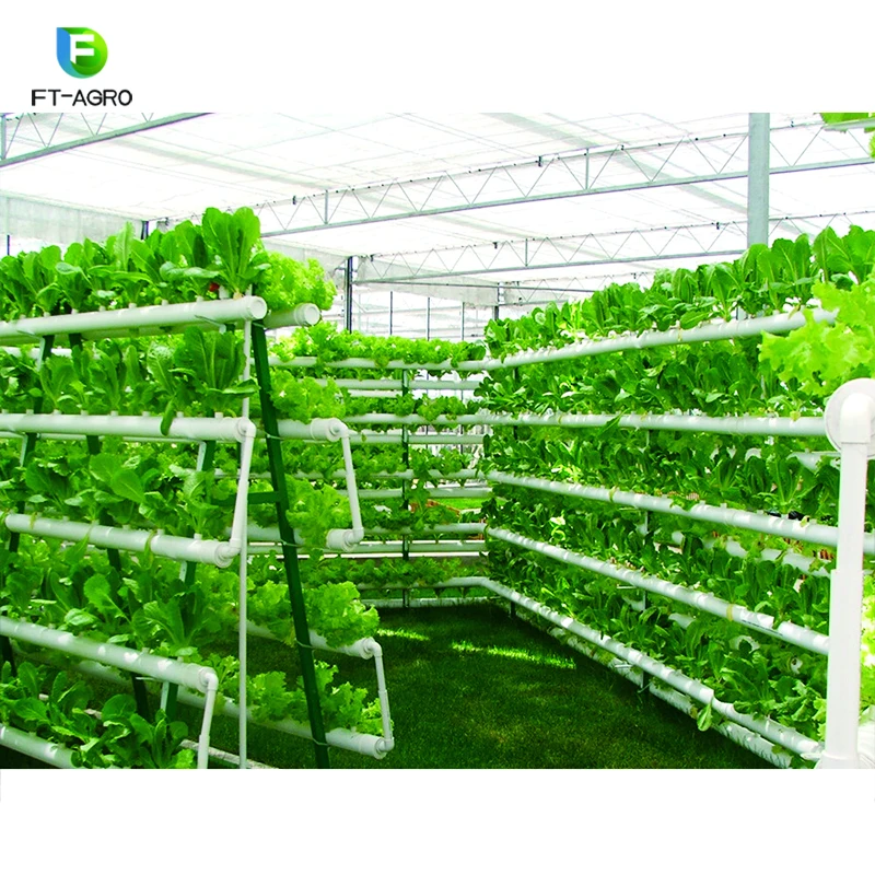 A Type Planting Frame Hydroponic Growing System For Greenhouse