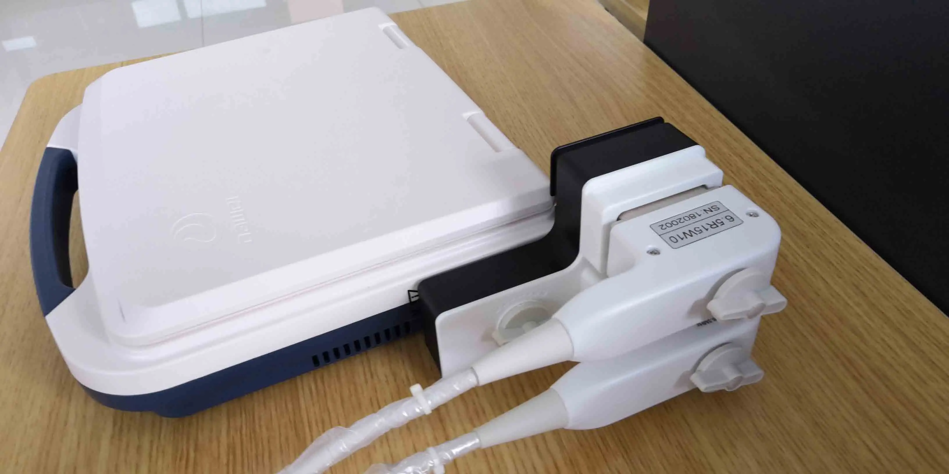 LTUB45 Portable Laptop 12 Inch Women Pregnancy Scanner Ultrasound Instruments B/W Digital Ultrasound Scanner