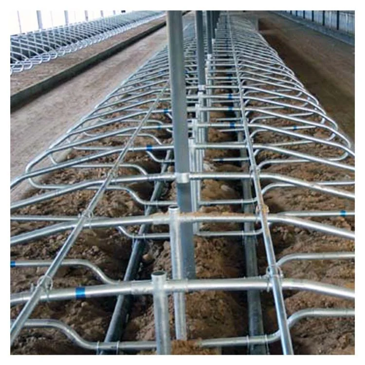 Modern Dairy Farm Hot-Dip Galvanized Factory Price High Quality Cow Free Stall