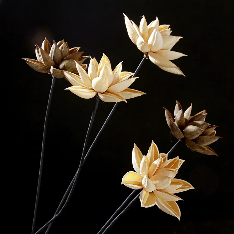 Новое поступление: Юньнань эко Лотос сухой букет цветов для художественного домашнего декора и фотографии реквизит
