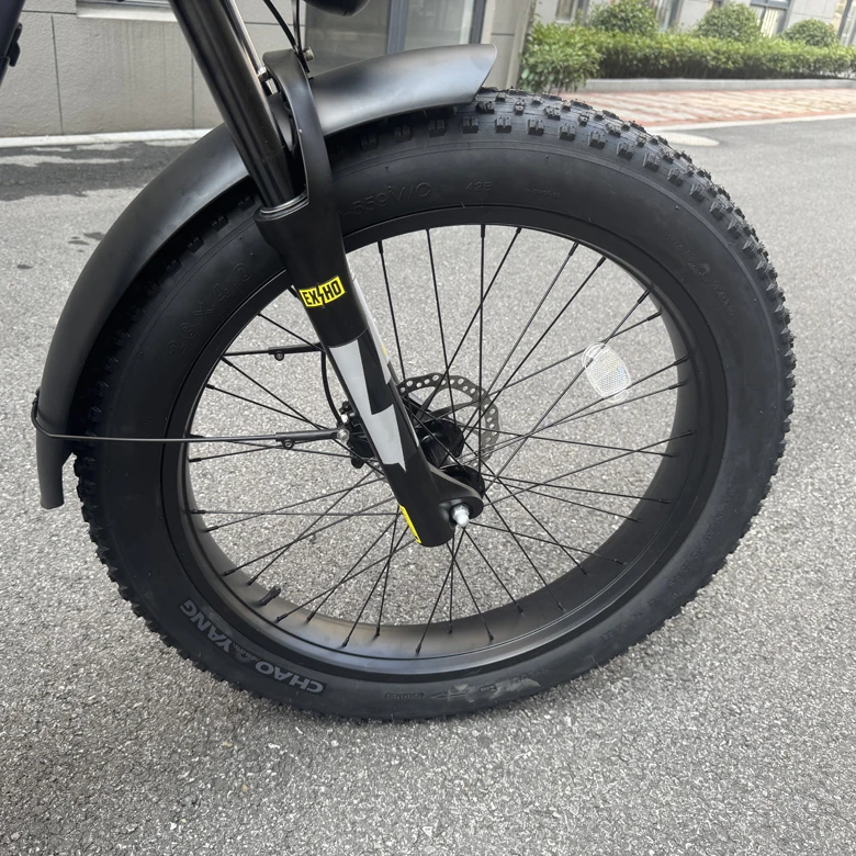 26 inch fat tire beach cruiser bike 20ah large capacity long distance city bike 3 wheel e bike with sidecar