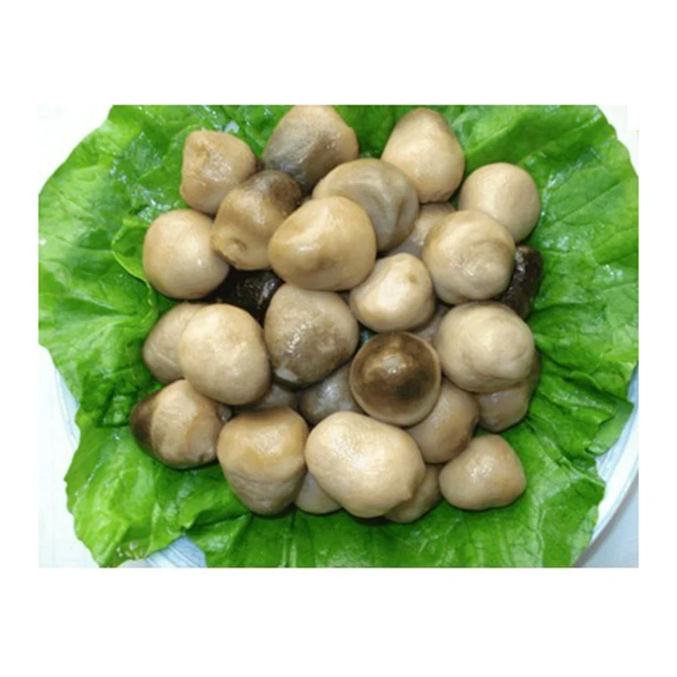 Delicious Chinese Whole Food Slice 425g Straw Delicious Canned Mushroom straw mushroom canned Canned Mushrooms Pieces
