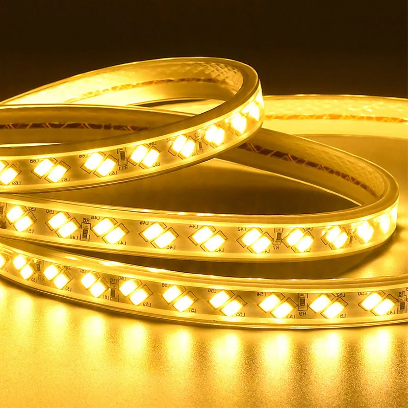 Commercial Building Outdoor Decoration Ip65 Waterproof Dc 12v 24v SMD 2835 LED Strip