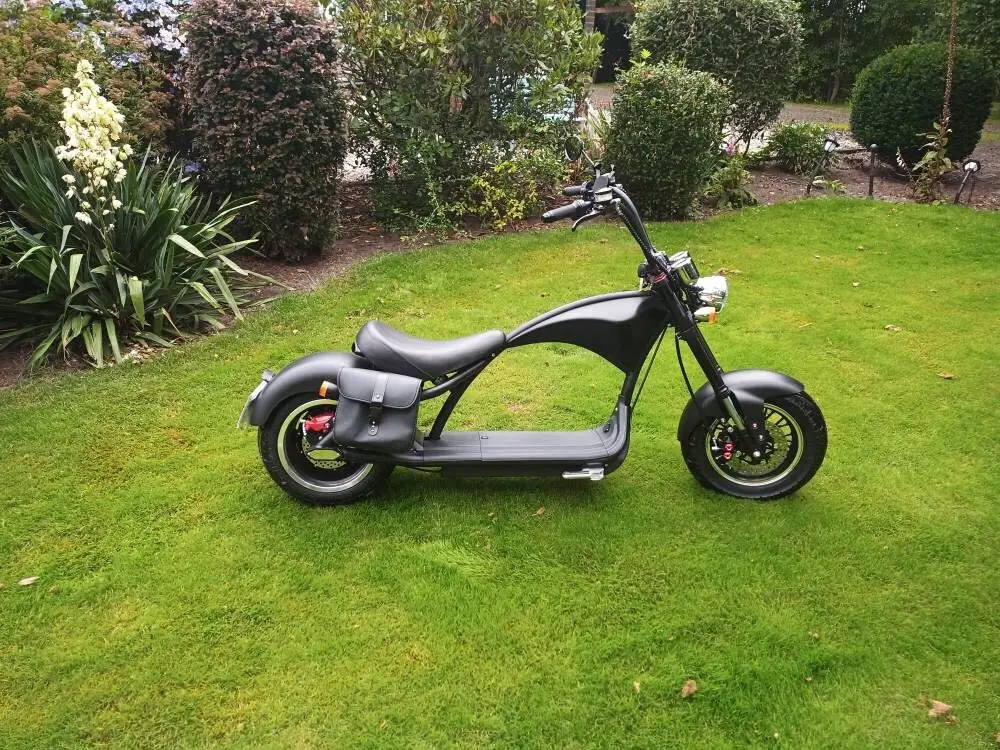 High performance customized European warehouse chopper electric scooter citycoco 2000w