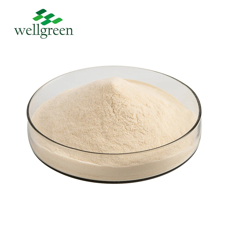 Organic Freezed Dried Aloe Vera Gel Extract Powder Aloe Vera Extract Powder