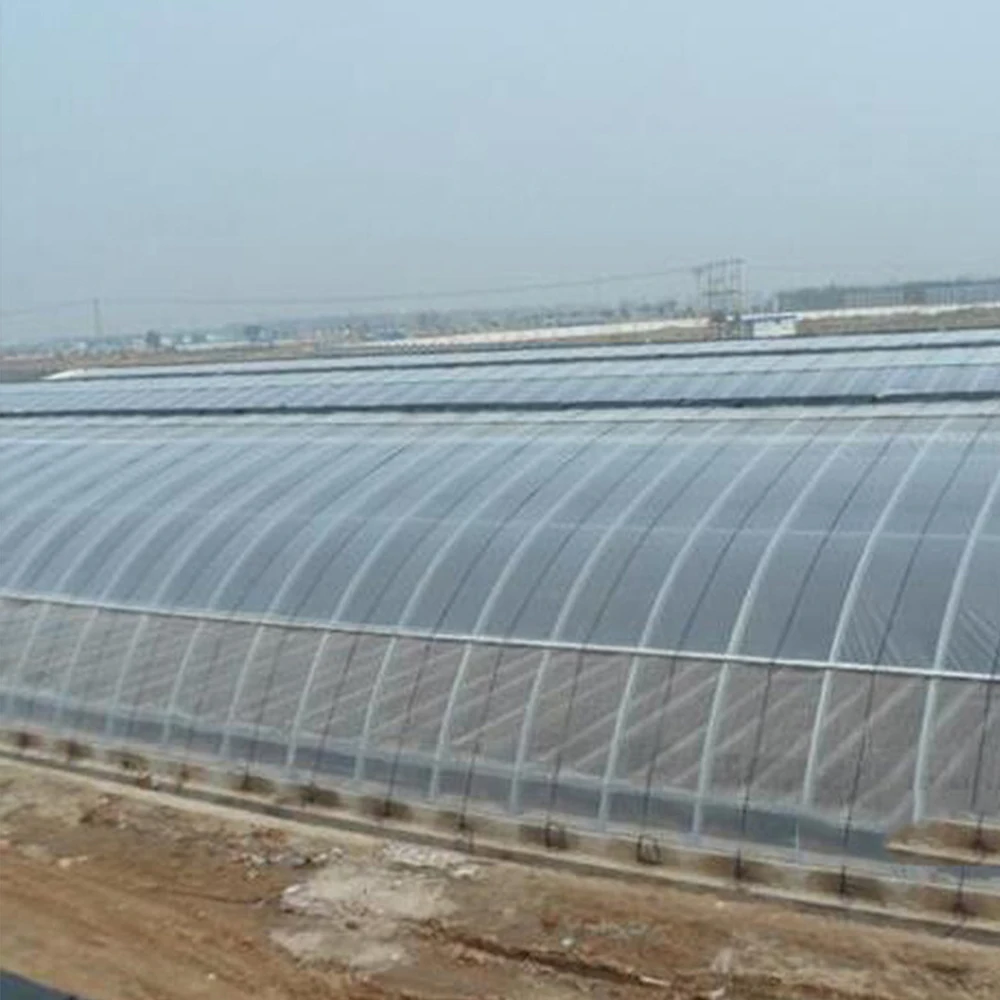 Factory direct sales high quality transparent greenhouse plastic film