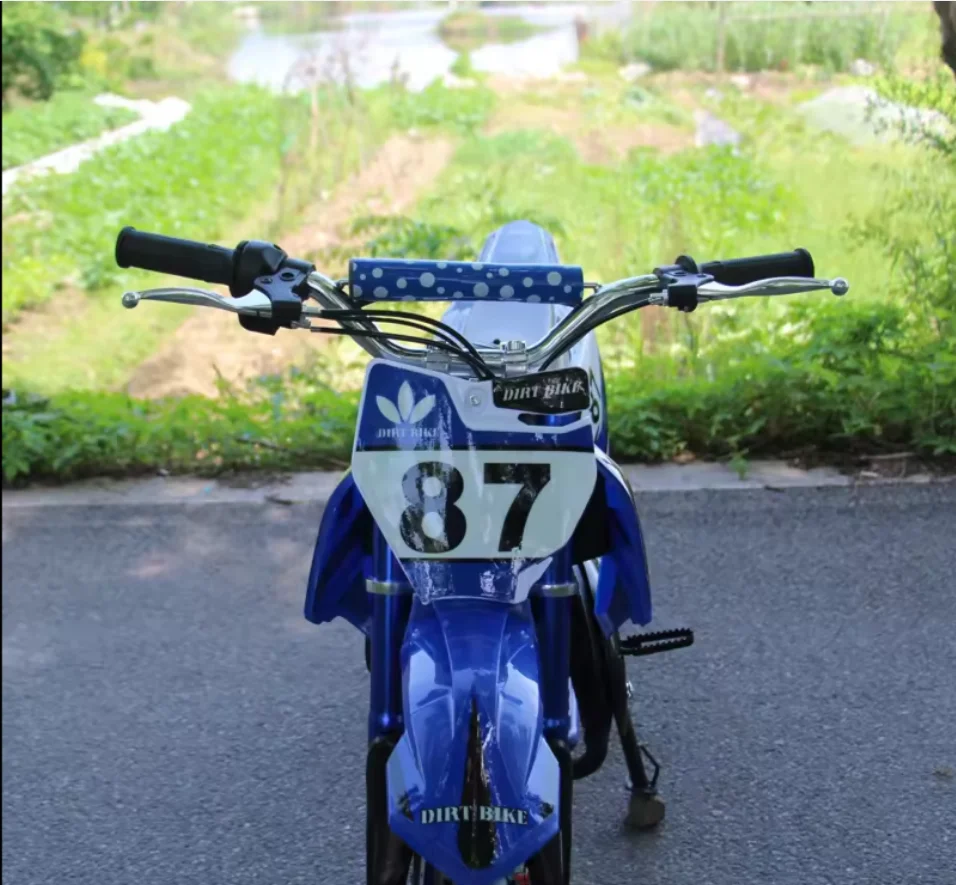 Chinese 49cc 2-Stroke 2-Wheeled Mini Pocketbike for Sports Off-Road Riding