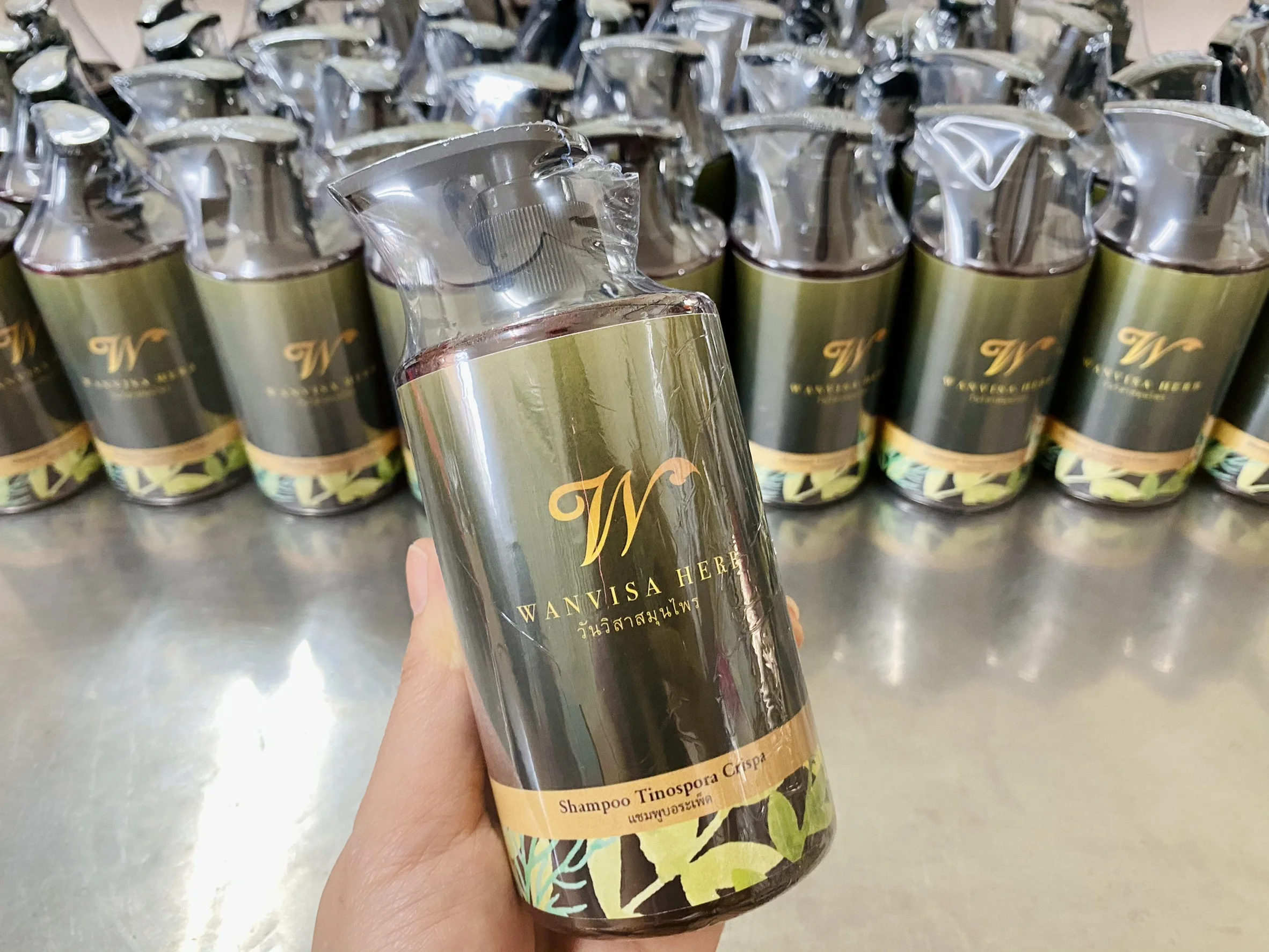 High Quality Premium Wholesale Herbal Tinospora Crispa Extract Anti Hair Loss Shampoo Care in bottle from Thailand