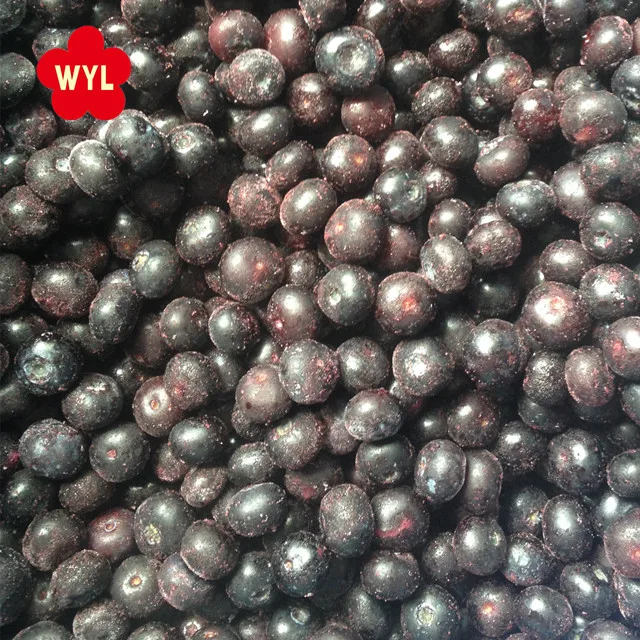 Competitive Frozen Blueberry Prices Premium Organic Frozen Wild Blueberries for Bulk Buyers