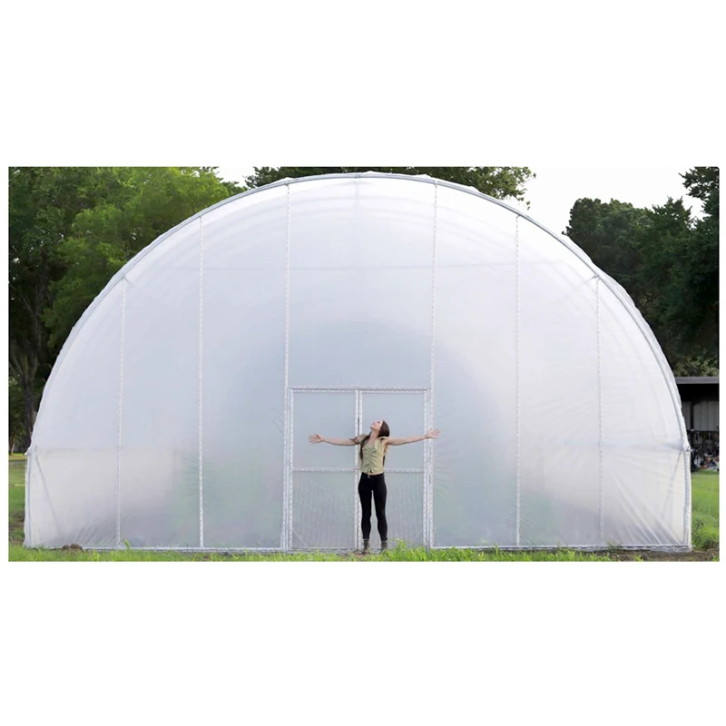Large Size Low Cost High Tunnel Agricultural Greenhouse for tomato growing vegetable green farm house