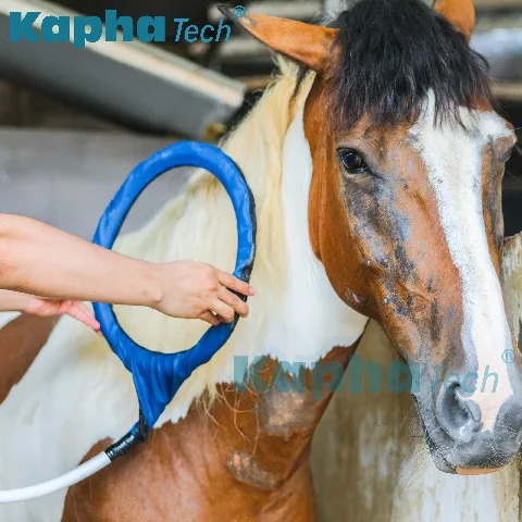 Non-invasive Equine Machine Big Treatment Area Pulse Electromagnetic Field Physiotherapy PMST LOOP