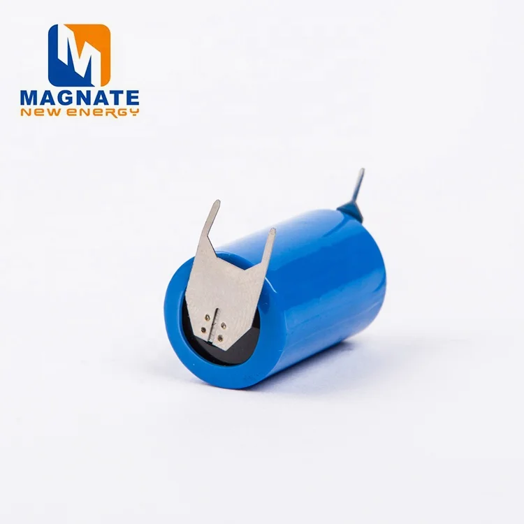 MAGNATE Battery Cell LS14250  ER14250 Battery with PT2 pins 1200mah for smart devices