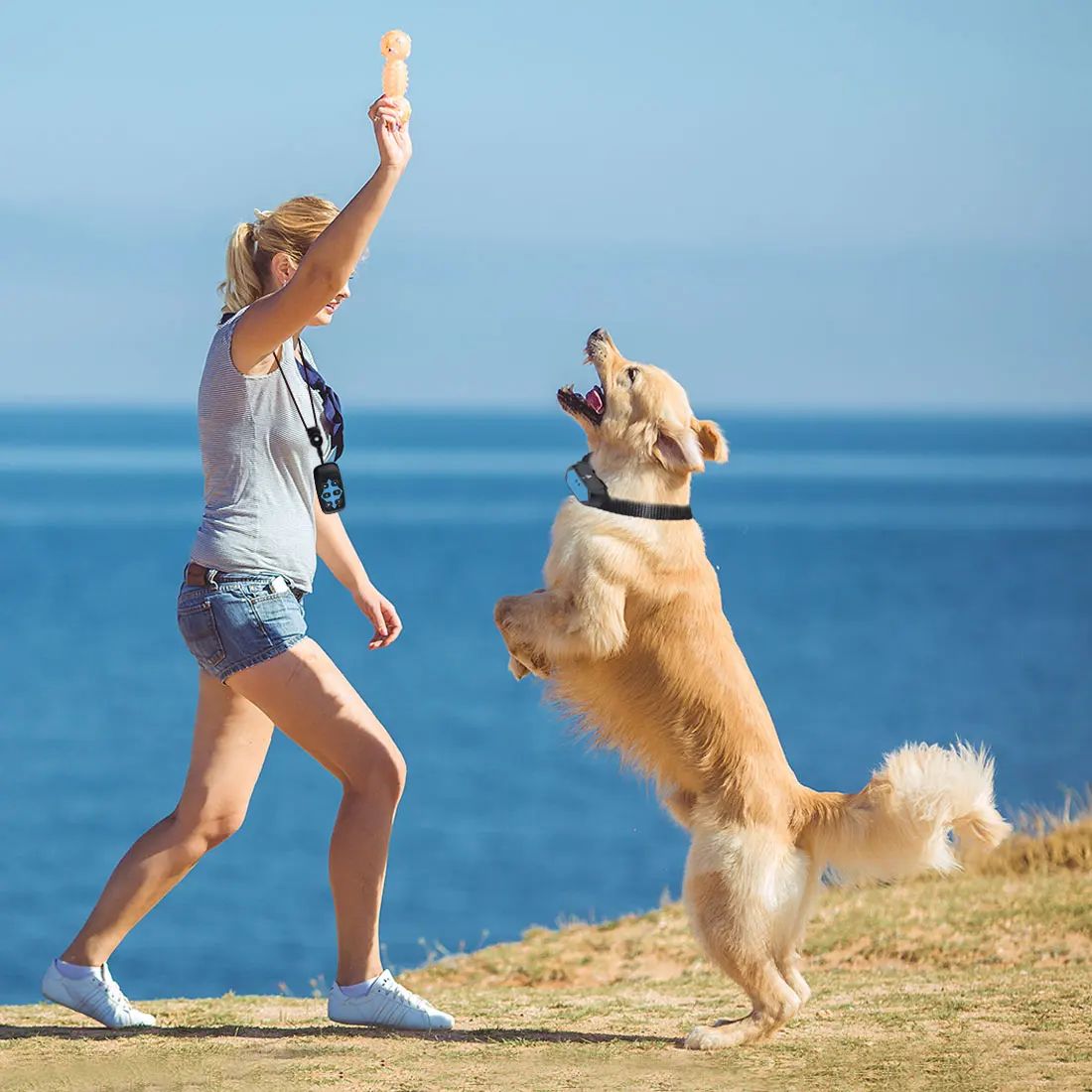 Amazon 2021 pet products anti-barking remote dog bark collar spray dog training collars waterproof rechargeable tone vibration