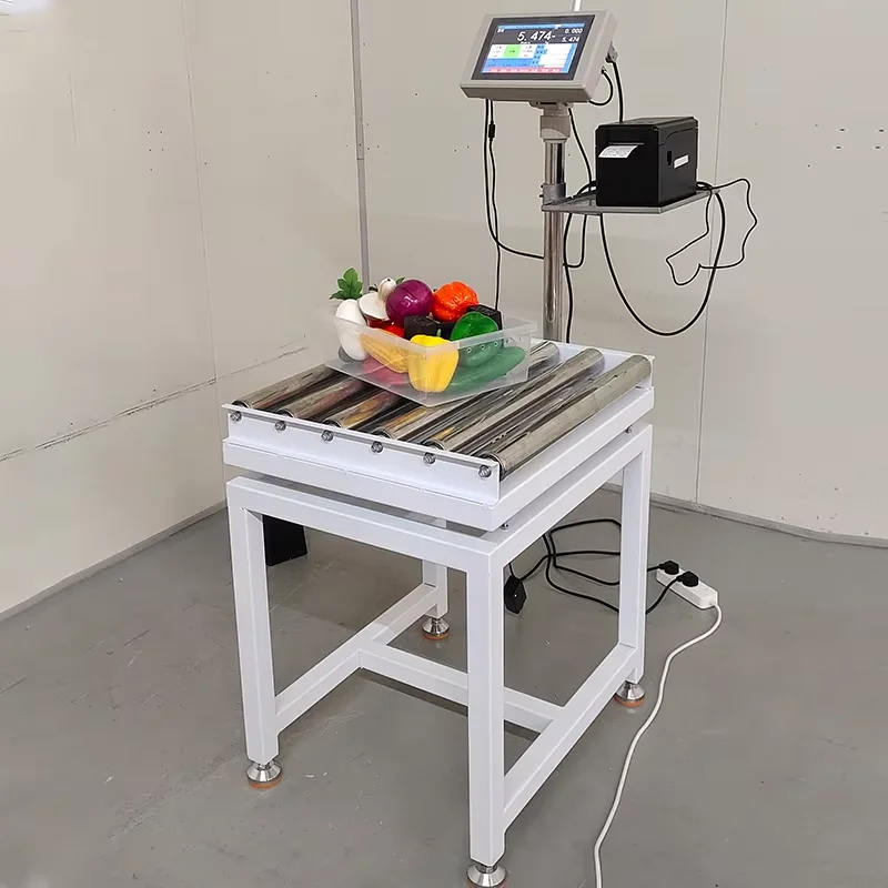 300kg High Quality Conveyor Roller Scale With Printer Check Weigher With LCD Weighing Indicator Automated Checkweigher