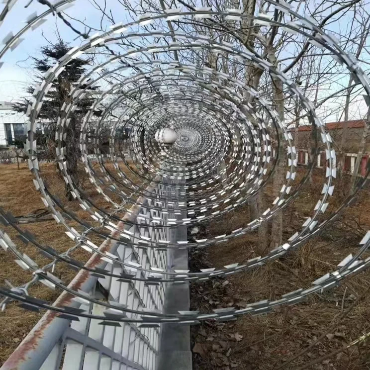 Manufacturer Wholesale Specification Well-Known For Its Fine Quality Razor Barbed Wire
